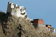 011 Leh-Forte della Vittoria e il Gompa